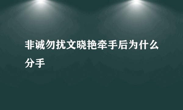 非诚勿扰文晓艳牵手后为什么分手