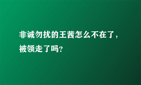 非诚勿扰的王茜怎么不在了，被领走了吗？