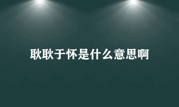 耿耿于怀是什么意思啊