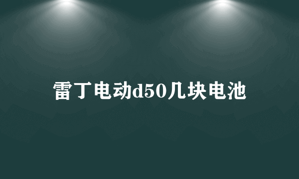 雷丁电动d50几块电池