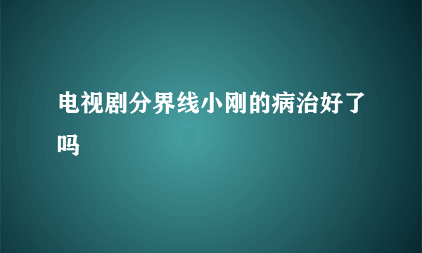 电视剧分界线小刚的病治好了吗