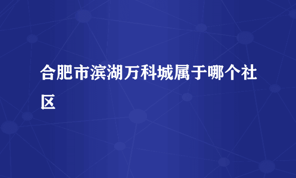 合肥市滨湖万科城属于哪个社区