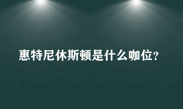 惠特尼休斯顿是什么咖位？