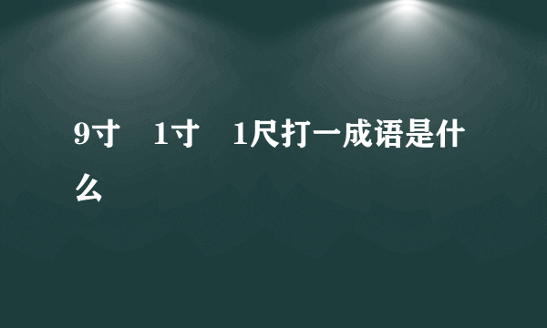 9寸 1寸 1尺打一成语是什么