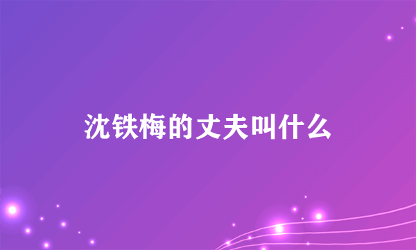 沈铁梅的丈夫叫什么