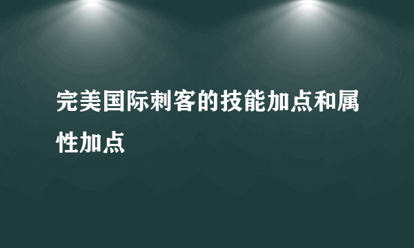 完美国际刺客的技能加点和属性加点