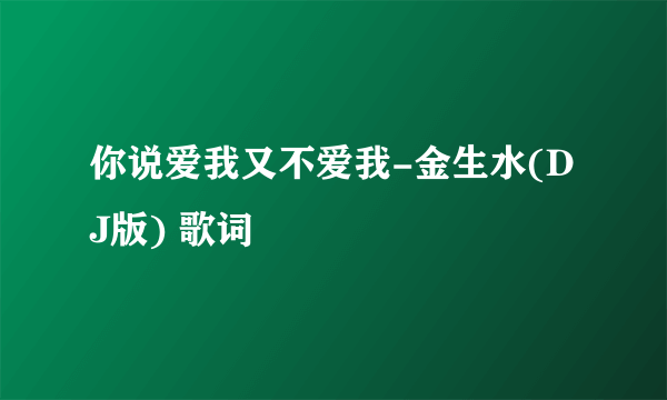 你说爱我又不爱我-金生水(DJ版) 歌词