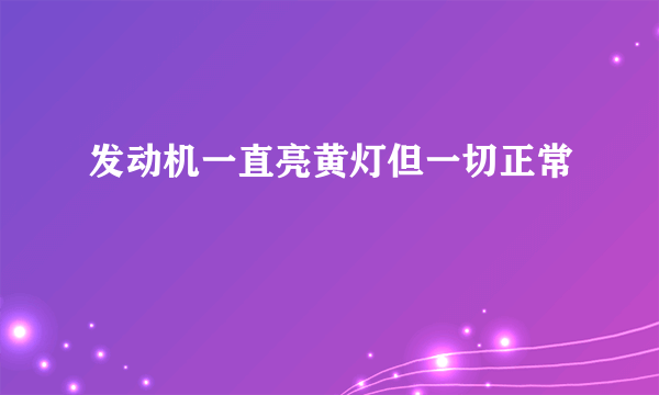 发动机一直亮黄灯但一切正常