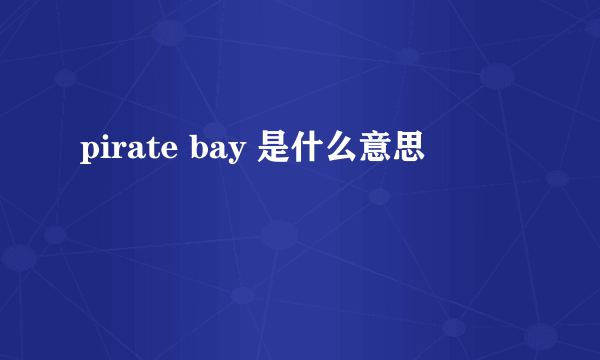 pirate bay 是什么意思