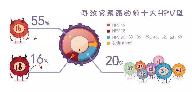 HPV检查项目包括什么？