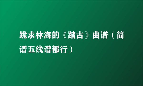 跪求林海的《踏古》曲谱（简谱五线谱都行）