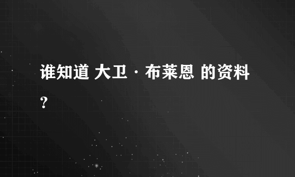 谁知道 大卫·布莱恩 的资料？