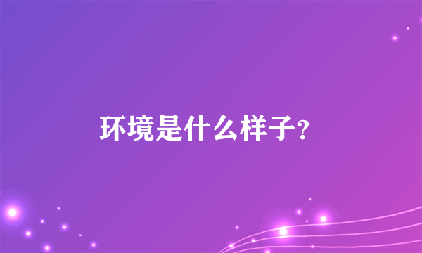 环境是什么样子？