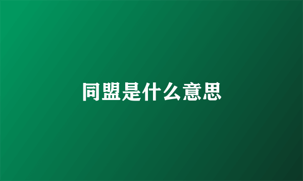 同盟是什么意思