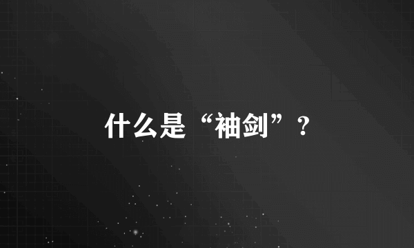 什么是“袖剑”?