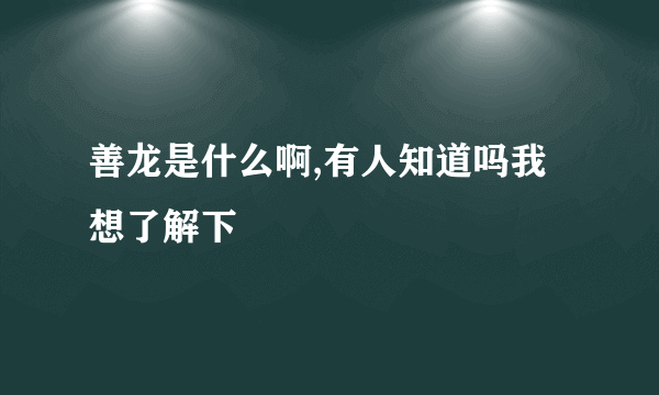 善龙是什么啊,有人知道吗我想了解下