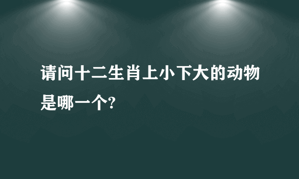 请问十二生肖上小下大的动物是哪一个?