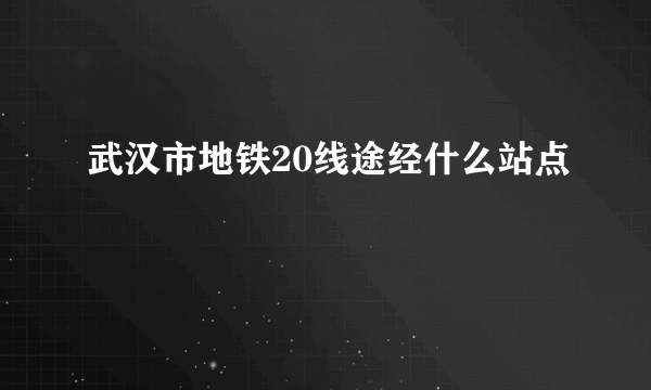 武汉市地铁20线途经什么站点