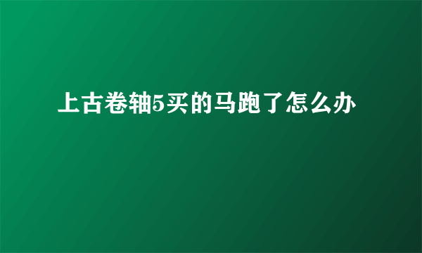 上古卷轴5买的马跑了怎么办