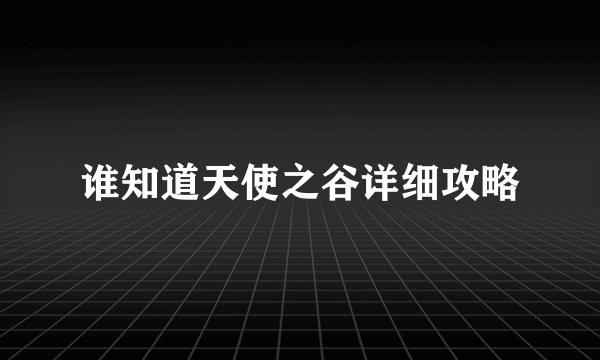 谁知道天使之谷详细攻略