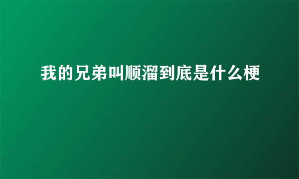 我的兄弟叫顺溜到底是什么梗