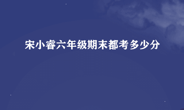 宋小睿六年级期末都考多少分