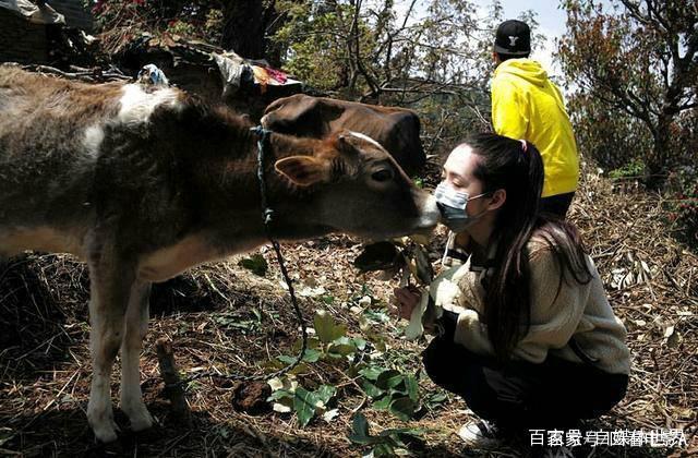 向佐与药水哥事件相信大家都知道，可向佐和郭碧婷却在尼泊尔游玩恩爱吗？