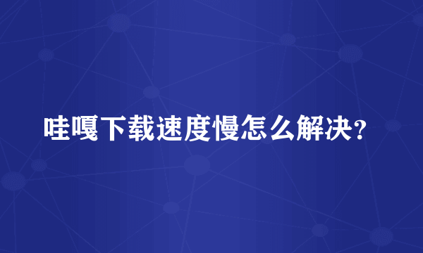 哇嘎下载速度慢怎么解决？