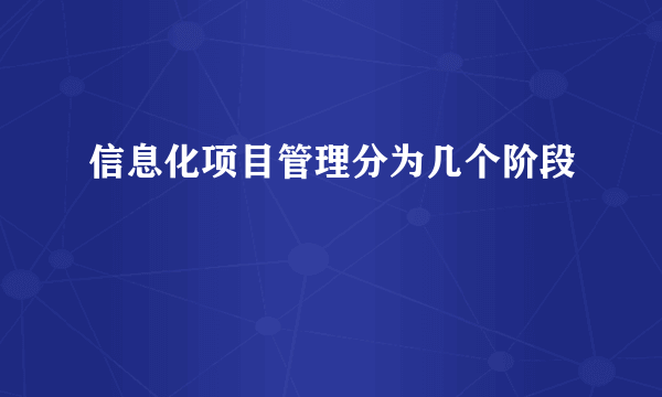 信息化项目管理分为几个阶段