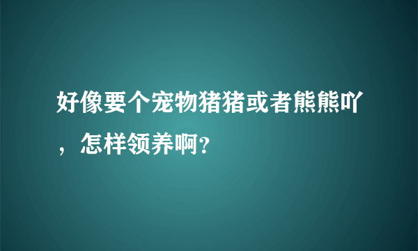 好像要个宠物猪猪或者熊熊吖，怎样领养啊？