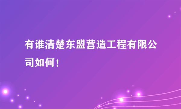 有谁清楚东盟营造工程有限公司如何！