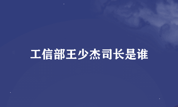 工信部王少杰司长是谁