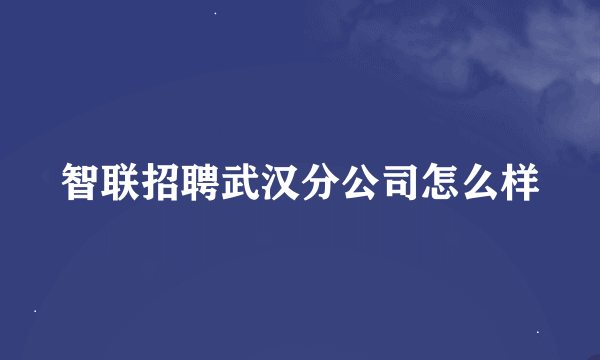 智联招聘武汉分公司怎么样