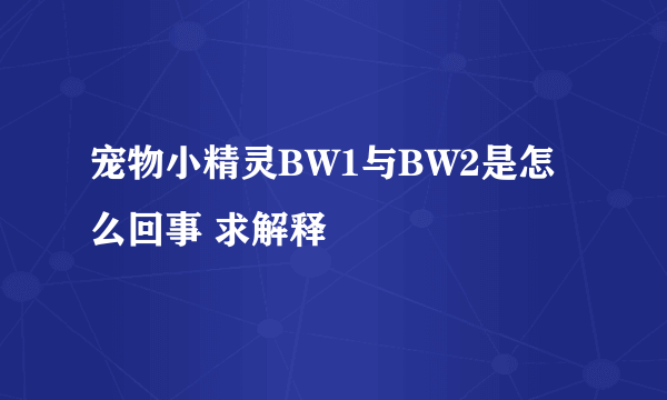 宠物小精灵BW1与BW2是怎么回事 求解释