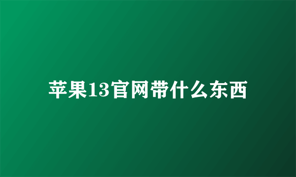 苹果13官网带什么东西