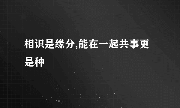 相识是缘分,能在一起共事更是种