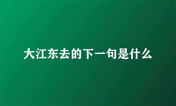 大江东去的下一句是什么