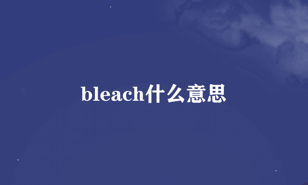 bleach什么意思