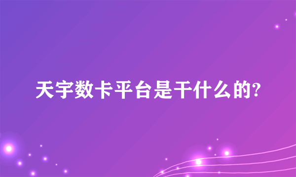 天宇数卡平台是干什么的?