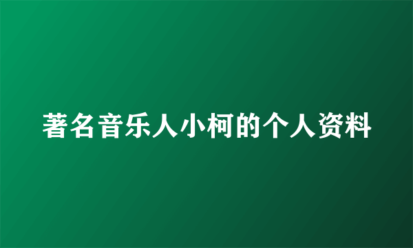 著名音乐人小柯的个人资料