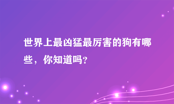 世界上最凶猛最厉害的狗有哪些，你知道吗？