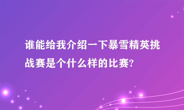 谁能给我介绍一下暴雪精英挑战赛是个什么样的比赛?