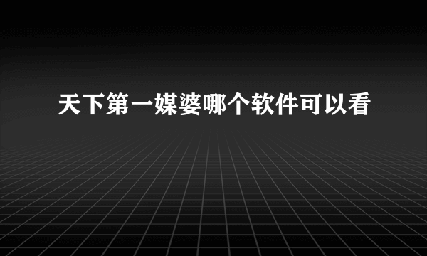 天下第一媒婆哪个软件可以看