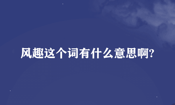 风趣这个词有什么意思啊?