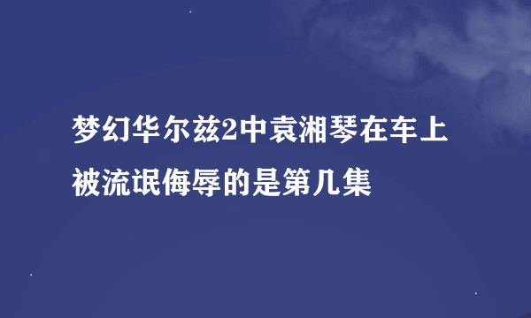 梦幻华尔兹2中袁湘琴在车上被流氓侮辱的是第几集