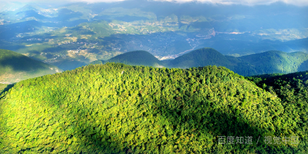 青山处处埋忠骨全诗？