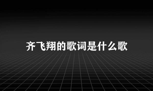 齐飞翔的歌词是什么歌