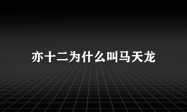 亦十二为什么叫马天龙