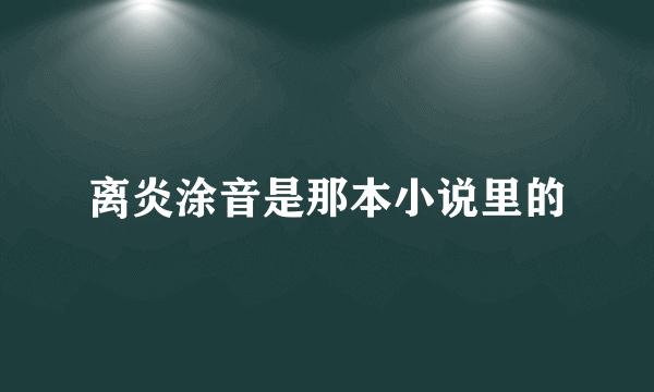 离炎涂音是那本小说里的