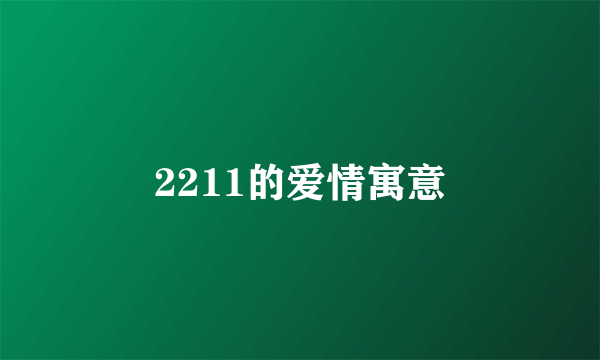 2211的爱情寓意